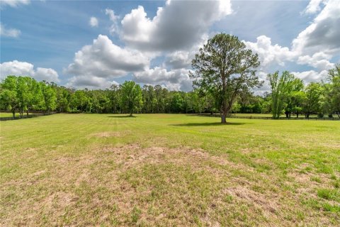 Land in Reddick, Florida № 2093792 - photo 14
