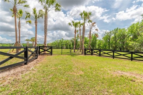 Land in Reddick, Florida № 2093792 - photo 5