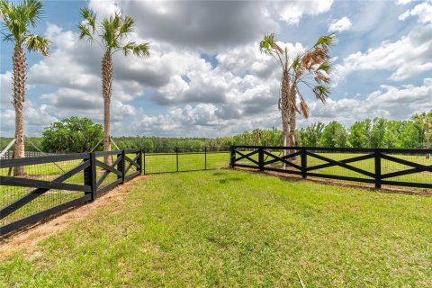 Land in Reddick, Florida № 2093792 - photo 3