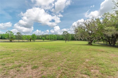 Land in Reddick, Florida № 2093792 - photo 11
