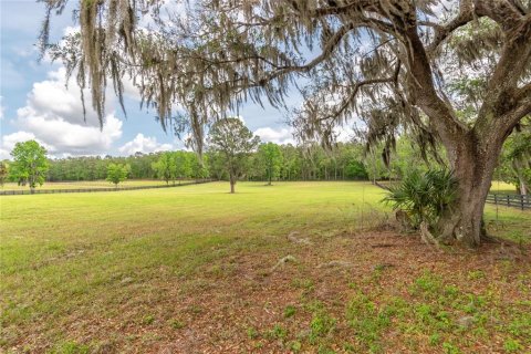 Land in Reddick, Florida № 2093792 - photo 12