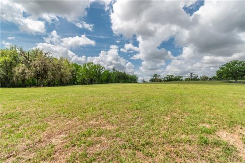 Land in Reddick, Florida № 2093792 - photo 15