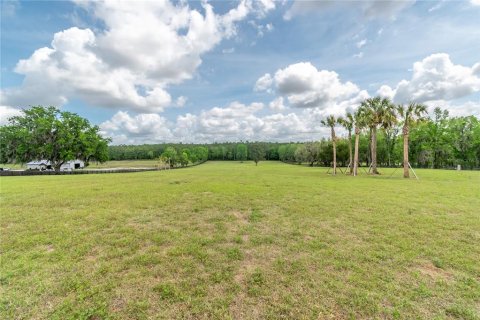 Land in Reddick, Florida № 2093792 - photo 8