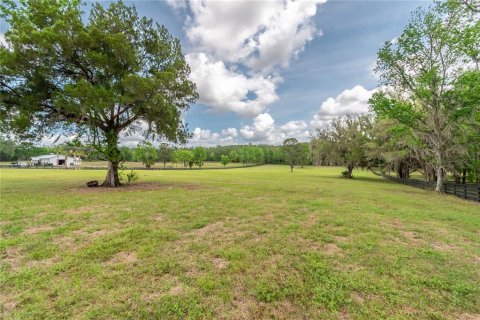 Land in Reddick, Florida № 2093792 - photo 10