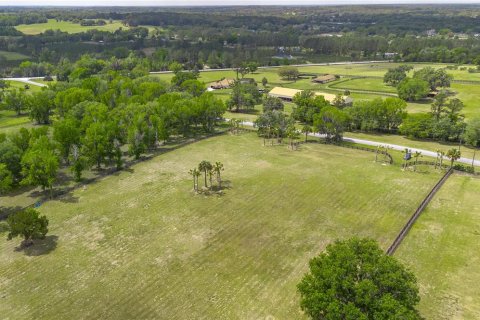 Land in Reddick, Florida № 2093792 - photo 2