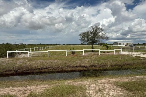 Land in Okeechobee, Florida № 2229049 - photo 3