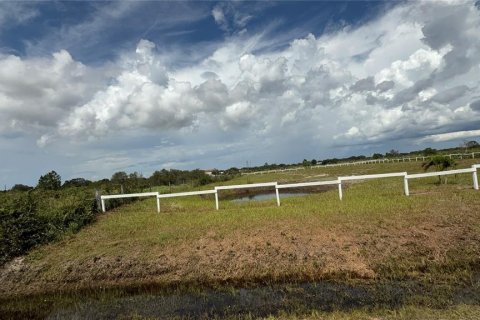 Terreno en Okeechobee, Florida № 2229049