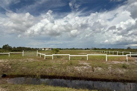 Land in Okeechobee, Florida № 2229049 - photo 2