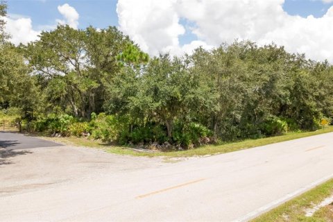 Land in Punta Gorda, Florida № 2379488 - photo 4