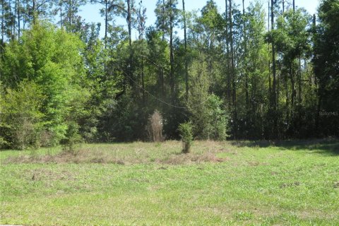 Land in San Antonio, Florida № 2232879