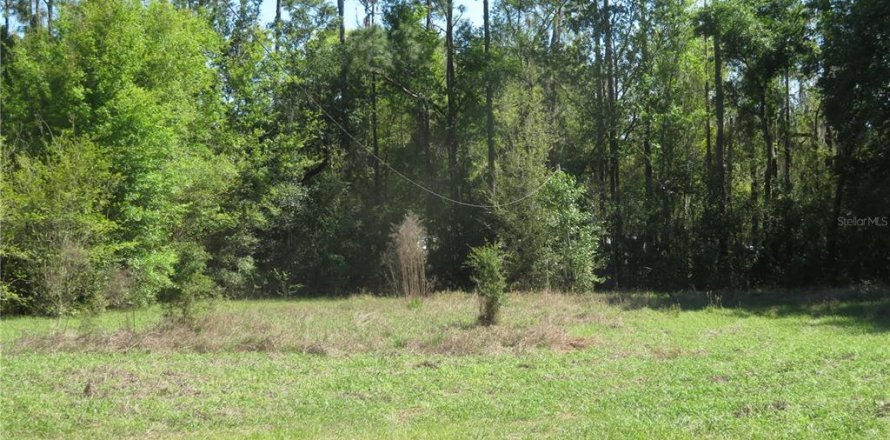 Terrain à San Antonio, Floride № 2232879