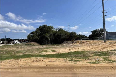 Terreno en venta en Haines City, Florida № 979382 - foto 1
