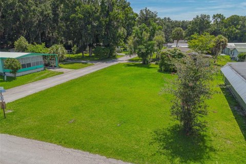 Land in Lake Panasoffkee, Florida № 2161464 - photo 2