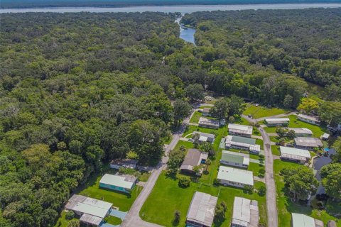 Land in Lake Panasoffkee, Florida № 2161464 - photo 6