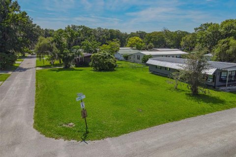 Land in Lake Panasoffkee, Florida № 2161464