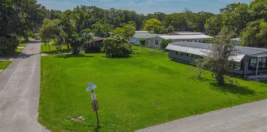 Land in Lake Panasoffkee, Florida № 2161464