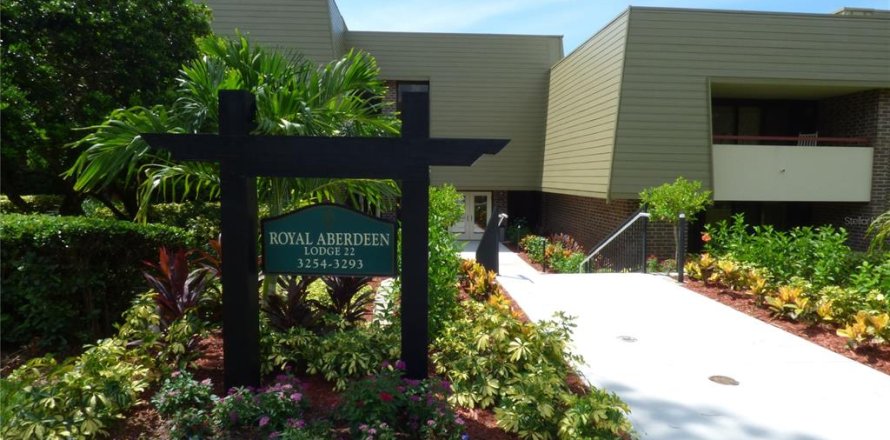 Condo in Palm Harbor, Florida, 2 bedrooms  № 1108989