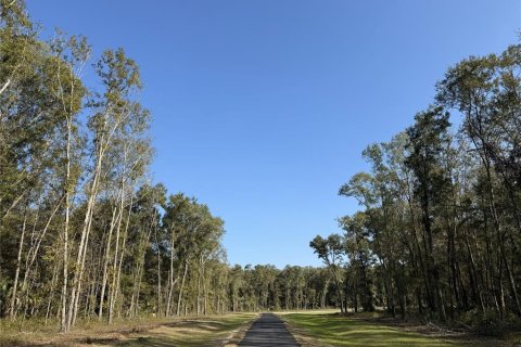 Terrain à Reddick, Floride № 2135929