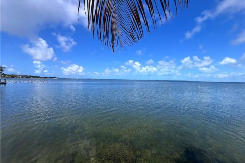 Apartamento en alquiler en Key Largo, Florida, 1 dormitorio № 2088590 - foto 13