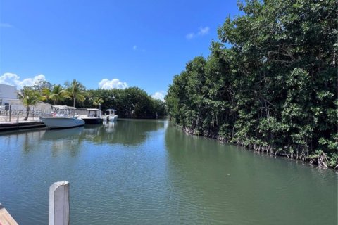 Apartamento en alquiler en Key Largo, Florida, 1 dormitorio № 2088590 - foto 11