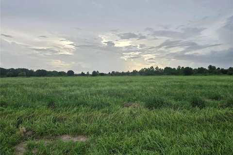 Land in Fort Meade, Florida № 1785565 - photo 1