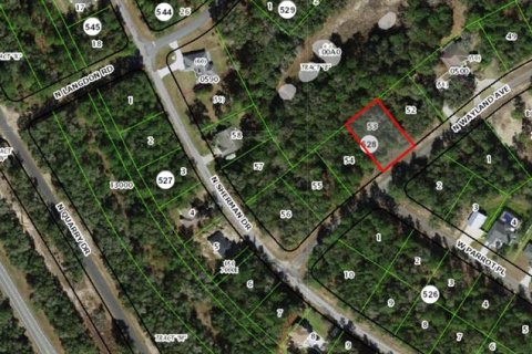 Land in Citrus Springs, Florida № 2236543 - photo 3