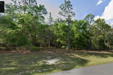 Land in Citrus Springs, Florida № 2236543
