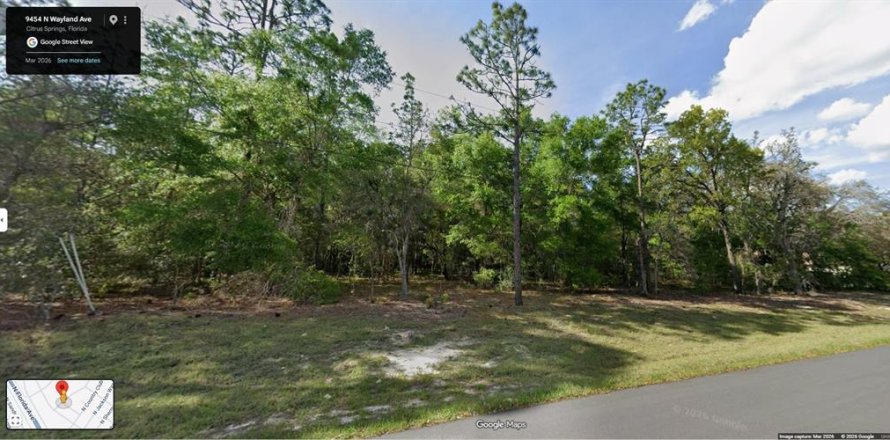 Land in Citrus Springs, Florida № 2236543