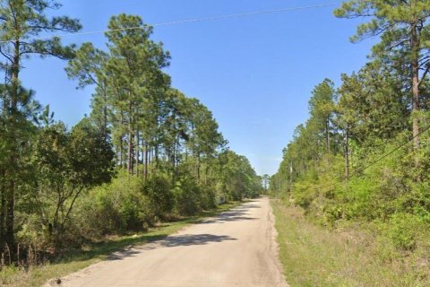 Terrain à Bunnell, Floride № 2266661