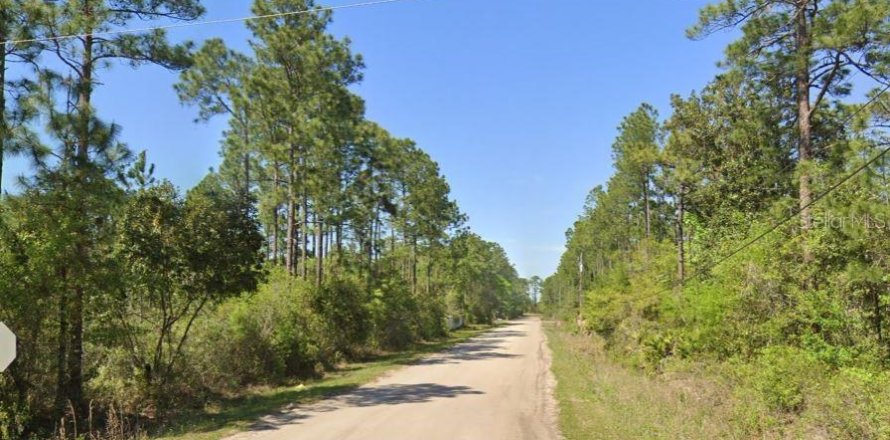 Terrain à Bunnell, Floride № 2266661