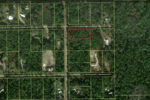 Terrain à vendre à Bunnell, Floride № 2266661 - photo 2