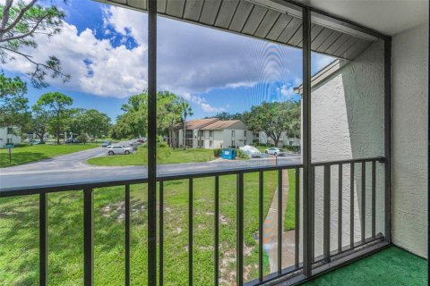 Condo in Palm Harbor, Florida, 1 bedroom  № 1913687 - photo 23