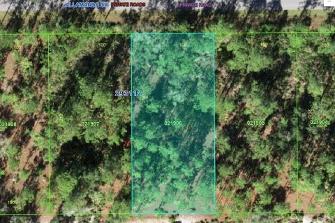 Land in Indian lake estates, Florida № 2165848 - photo 15