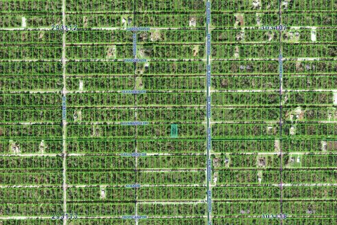 Land in Indian lake estates, Florida № 2165848 - photo 14