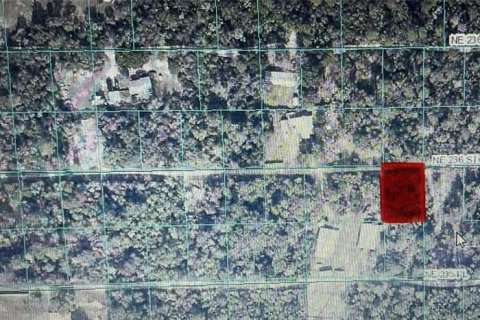 Land in Fort MC Coy, Florida № 2164373