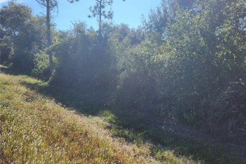 Terreno en Punta Gorda, Florida № 2164431
