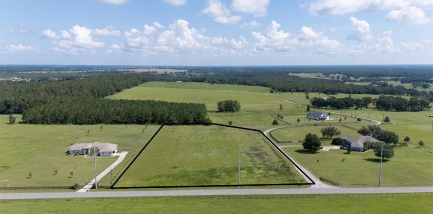 Terrain à Dade City, Floride № 1853524