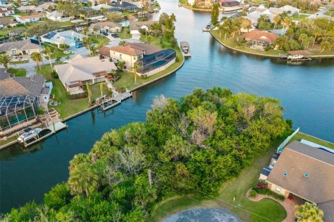 Terreno en venta en Palm Coast, Florida № 1559517 - foto 15