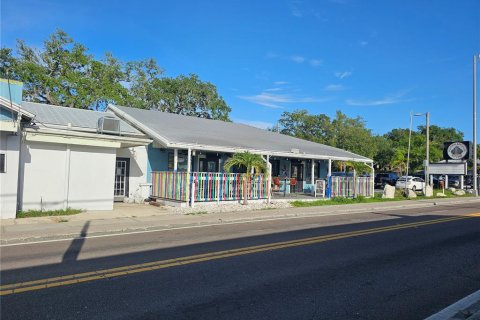 Immobilier commercial à Tarpon Springs, Floride 477.98 m2 № 2315339
