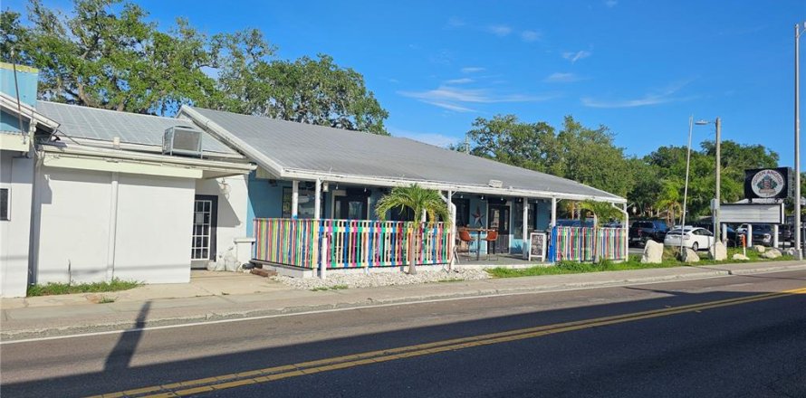 Immobilier commercial à Tarpon Springs, Floride 477.98 m2 № 2315339