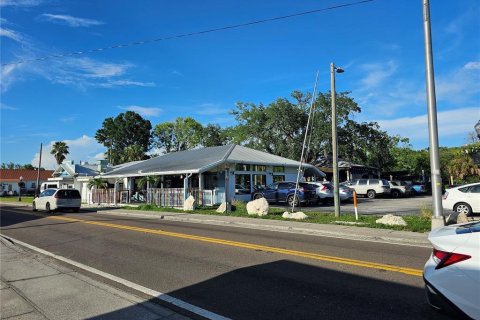 Immobilier commercial à vendre à Tarpon Springs, Floride: 477.98 m2 № 2315339 - photo 8