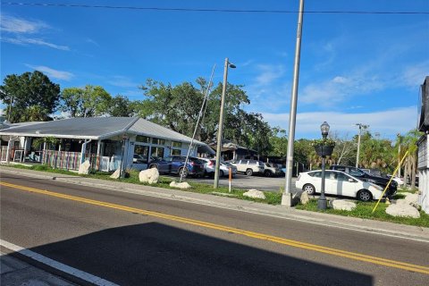 Immobilier commercial à vendre à Tarpon Springs, Floride: 477.98 m2 № 2315339 - photo 7