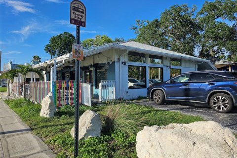 Immobilier commercial à vendre à Tarpon Springs, Floride: 477.98 m2 № 2315339 - photo 3