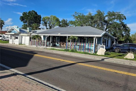 Immobilier commercial à vendre à Tarpon Springs, Floride: 477.98 m2 № 2315339 - photo 6
