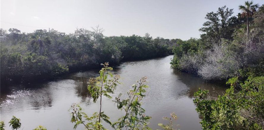 Land in Crystal River, Florida № 755019