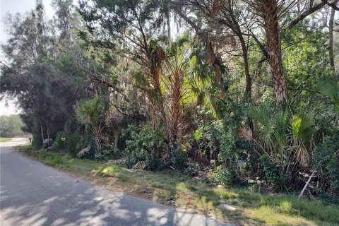 Land in Crystal River, Florida № 755019 - photo 10