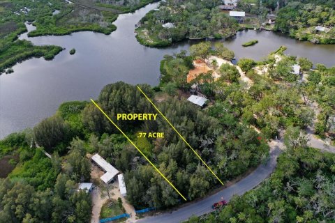 Land in Crystal River, Florida № 755019 - photo 3