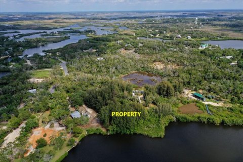 Land in Crystal River, Florida № 755019 - photo 6