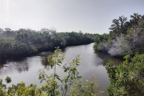 Land in Crystal River, Florida № 755019 - photo 8