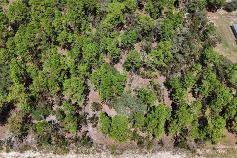 Land in Dunnellon, Florida № 1399284 - photo 3
